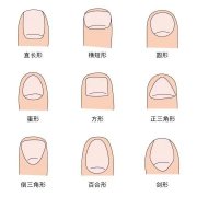 从指甲看个性