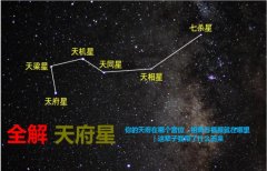 <b>你的天府星在哪个宫位，祖荫与福报就在哪里｜</b>