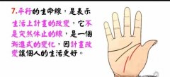 <b>手掌都隐藏着有趣的秘密</b>