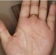 <b>看手相|有毅力 聪明 耿直 人缘一般，单打独斗的</b>