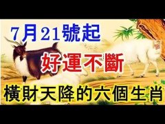 <b>7月21号起好运不断，钱财滚滚来的六个生肖。</b>