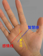 <b>事业起落，时好时坏,婚姻有变手相</b>