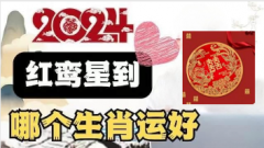 <b>2024年有红鸾星的生肖 2024能够脱单的生肖</b>
