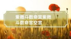 命宫无主星与『空宫』的性格怎么看？