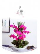 <b>花卉随意摆放·导致婚姻亮红灯?</b>