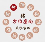 <b>1995年属猪住在几楼好？95年属猪房屋风水朝向！</b>