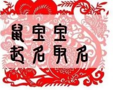 <b>生肖鼠宜用及不宜用字，生肖鼠取名什么最好？</b>