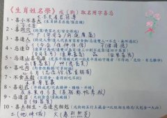 <b>孩子取名的重要，属狗的宝宝取名喜忌</b>