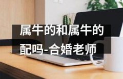 属牛跟属牛结婚好不好?牛配牛
