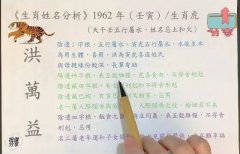 五行属水的老虎名字分析