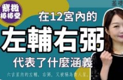 <b>左輔、右弼在12宮內代表的涵義</b>