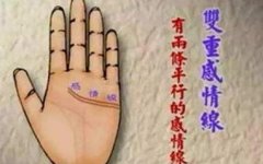 财运线和感情线连在一起代表什么