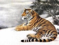 属虎的几月出生好农历