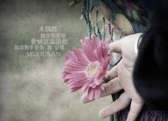 风流代价！一辈子烂桃花不断的3大生肖
