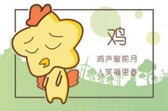 81年属鸡什么颜色最旺财，幸运色是什么