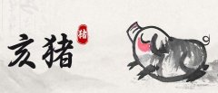 <b> 猪的贵人和合财生肖，2025年属猪运势</b>