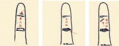 <b>如何从无名指预测人的运势?</b>
