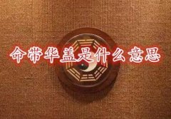 命带华盖之人就好吗，四柱带