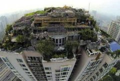 楼顶种什么树风水最好？推荐
