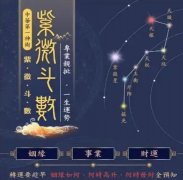 <b>晚年有很多钱的紫微斗数命盘</b>