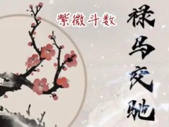 <b>紫微斗数：禄马交驰详解</b>