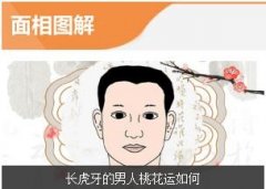 长虎牙的男人桃花运如何