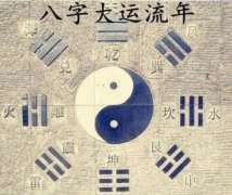 八字看事业运势：揭秘事业格