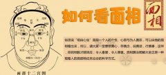 三白眼走眼运