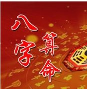 猪婚床最忌的生肖