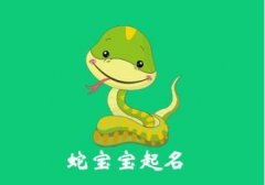 属蛇人最适合的10大职业解析｜