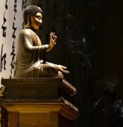 属鸡女性婚配指南：最佳配偶