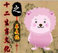 属羊的人如何利用风水提升运势？