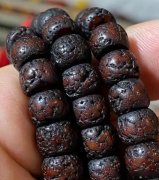星月菩提对亥时出生者的作用
