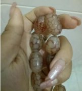 蛇纹玛瑙适合什么生肖？戴蛇