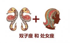双子座和处女座工作搭档合适