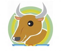 属牛佩戴什么保健康？2025年属牛健康