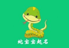 2025蛇年周姓宝宝起名指南：五