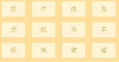 宠物风水指南：选对家庭伙伴