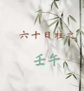 壬午日柱五行属什么？详解水火既济与杨