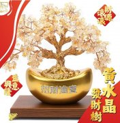 肉桂招财的风水密码：传统智慧与现代心