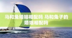 生肖兔女与马男婚配是否合适