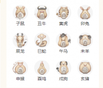 O 型血的核心性格特质解析