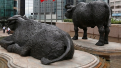 「赤馬紅羊」的投資智慧：勇