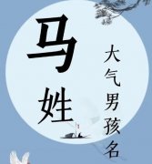 2026马宝宝取名宜用字与禁忌：