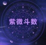 紫微财帛宫主星定财路——1