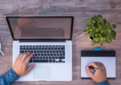 什么植物不适合摆放在办公室