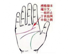 婚姻线透露你的感情密码！长