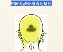 如何分清骨相秀还是浊？5大特