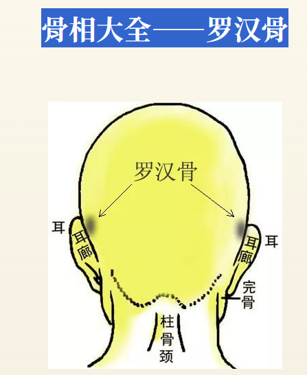 骨相大全——罗汉骨