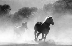 一进门直通客厅阳台漏财？港